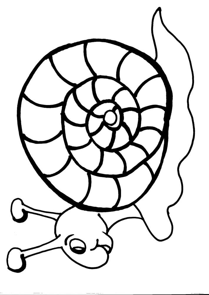 disegni da colorare bambinilumacachiocciolad