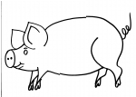 disegni animali della fattoria da colorare maiale..scrofa..disegno porcellini da colorare..disegno maiale rosa da colorare..disegno maiale duroc da colorare..disegno maiale large white da colorare