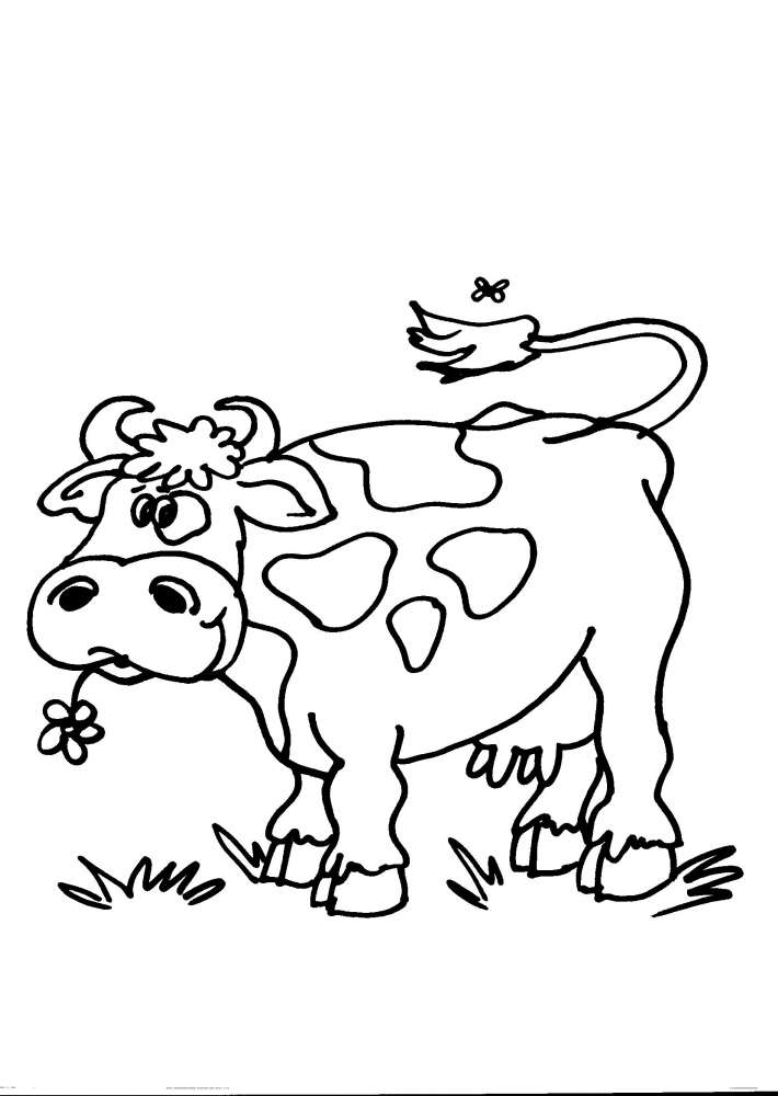 disegno vitello della fattoria da colorare muccad