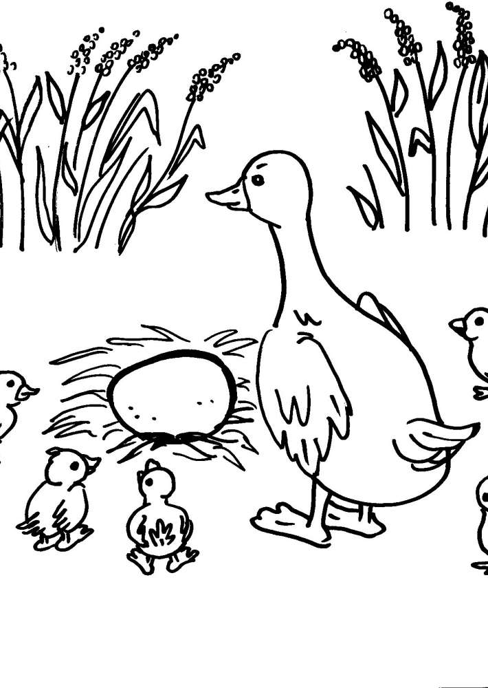 oca coloring pages - photo #47