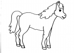 disegni per bambini animali in fattoria da colorare:cavallo,il cavallo..disegno cavallo da colorare..disegno cavallino da colorare..disegno puledro da colorare..disegno pony da colorare..disegno cavallo da corsa da colorare..disegno cavallo dei cowboy da 