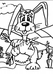 disegni animali della fattoria da colorare:coniglio,coniglio ..disegno coniglio da colorare..disegno coniglietto da colorare..disegno lepre da colorare..disegno conigli in tana da colorare per bambini e stampare..