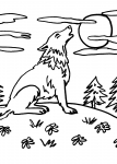 disegni animali per bambini da colorare:lupo nella foresta ..disegno lupo da colorare..disegno lupetto da colorare..disegno lupacchiotto da colorare..disegno bambi da colorare..disegno alce da colorare