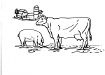 disegni animali della fattoria per bambini da colorare:mucca.la mucca è un ruminante disegno toro da colorare..agriturismi in provincia di varese,prodotti tipici varesini,disegno mucca da mungere da colorare..disegno sala di mungitura per mucche da colora