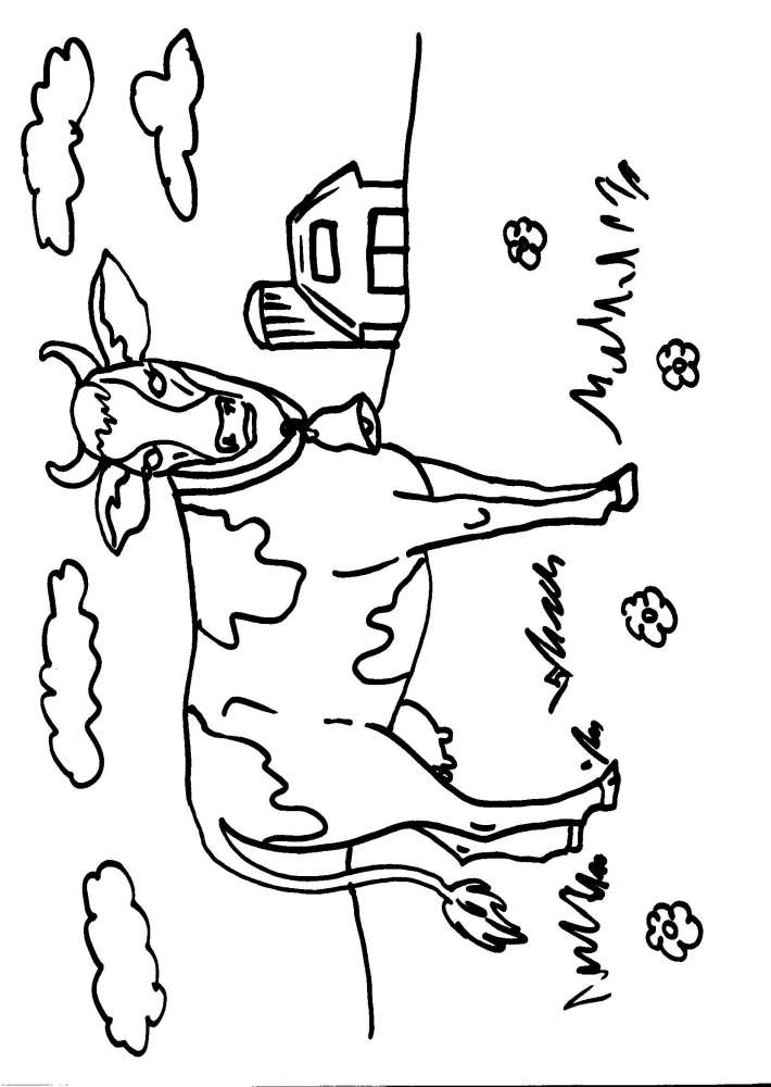 disegni animali della fattoria per bambini da colo