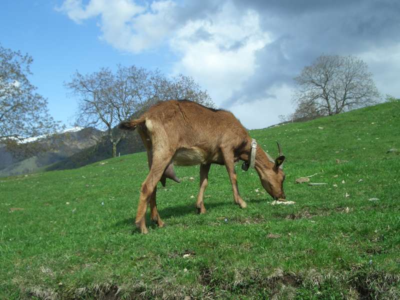 Agriturismo CA DEL MONTE a Porto Ceresio