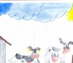 mucche in fattoria didattica disegni per bambini:Andrea Norato,anni 7,Morazzone.Disegni colorati dai bambini della fattoria,disegni per bambini da scaricare e colorare,fattorie didattiche,prodotti tipici varesini,foto animali nella fattoria,didattica in f