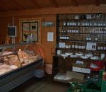 azienda agricola losetta di bertoldo roberto,prodotti tipici varesini,distributore di latte crudo a taino,formaggi freschi,formaggi stagionati,mozzarella,scamorza,coloriamo animali fattoria,didattica in fattoria,scuole in fattoria,fattorie didattiche