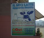 azienda agricola cogo giorgio,caseificio formaggio in fattoria provincia di varese,mozzarella fresca in fattoria,latte fresco appena munto a carnago,scuole in fattoria,disegni animali fattoria da colorare,didattica per bambini in fattoria didattica